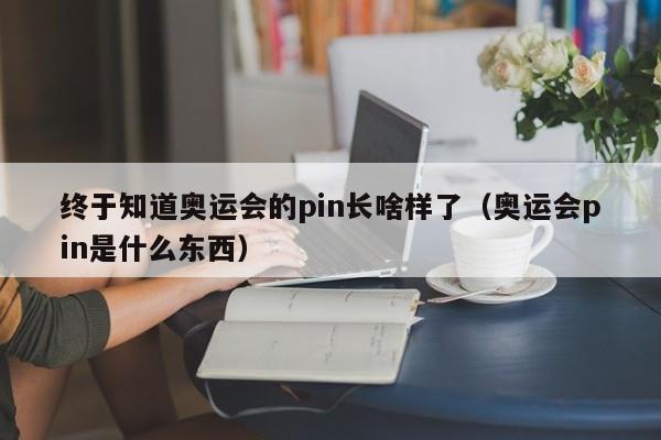 终于知道奥运会的pin长啥样了（奥运会pin是什么东西）