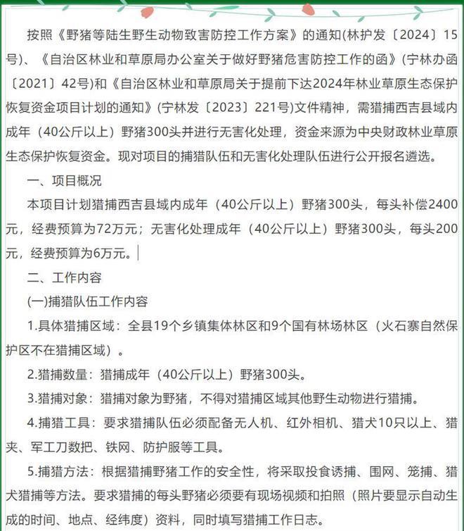 每头野猪悬赏2400有人一晚捕13头(每头野猪悬赏2400有人一晚捕13头吗)