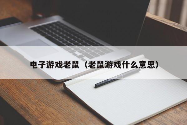 电子游戏老鼠（老鼠游戏什么意思）