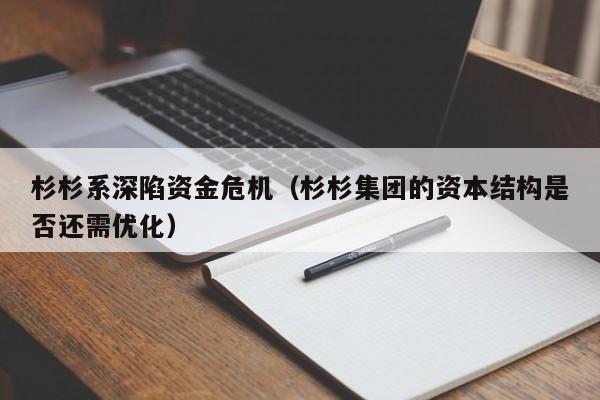 杉杉系深陷资金危机（杉杉集团的资本结构是否还需优化）