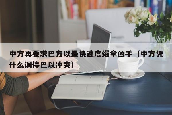 中方再要求巴方以最快速度缉拿凶手（中方凭什么调停巴以冲突）