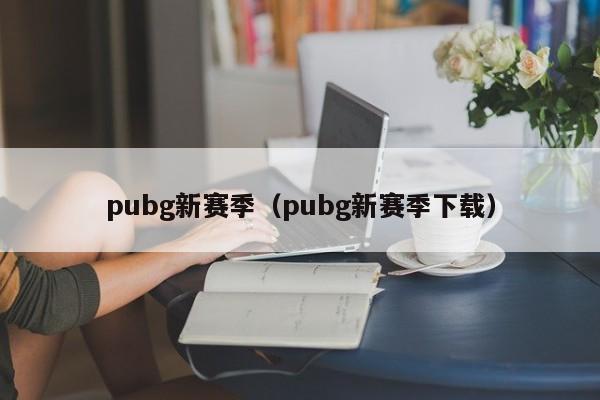 pubg新赛季（pubg新赛季下载）